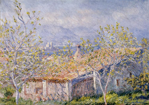 Gardener's House at Antibes 1888 by Claude Monet Oil Painting reproduction