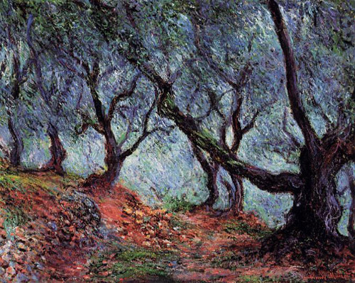 Grove of Olive Trees in Bordighera 1884 by Claude Monet Oil Painting reproduction