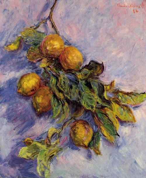 Lemons on a Branch 1884 by Claude Monet Oil Painting reproduction