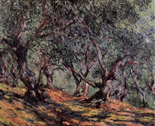Olive Trees in Bordighera 1884  by Claude Monet Oil Painting reproduction
