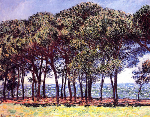 Pine Trees Cap dAntibes 1888 by Claude Monet Oil Painting reproduction