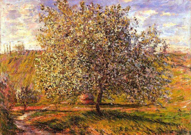 Tree in Flower near Vetheuil  by Claude Monet Oil Painting reproduction
