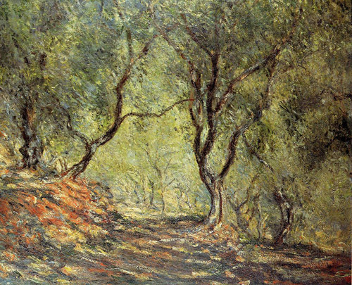 The Olive Tree Wood in the Moreno Garden 1884  by Claude Monet Oil Painting reproduction
