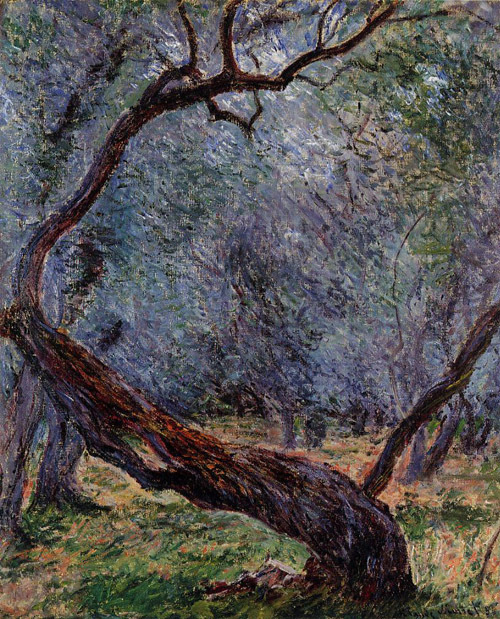 Study of Olive Trees 1884  by Claude Monet Oil Painting reproduction