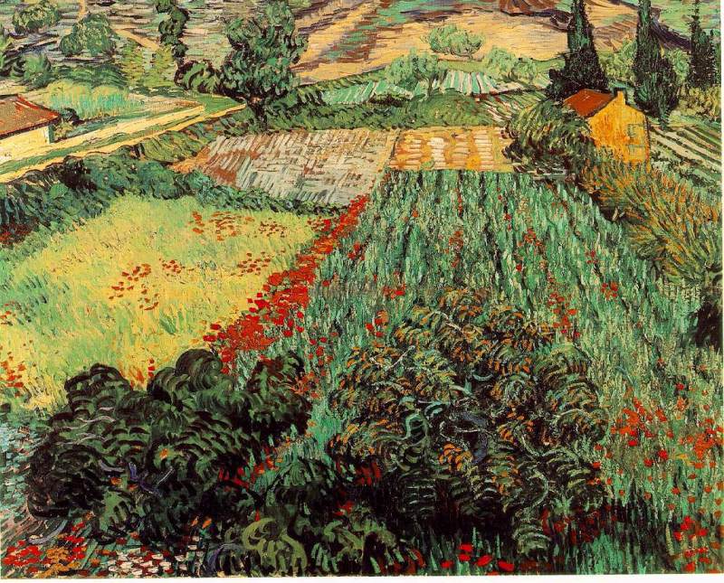 Field with Poppies  1889  by Vincent Van Gogh Oil Painting reproduction