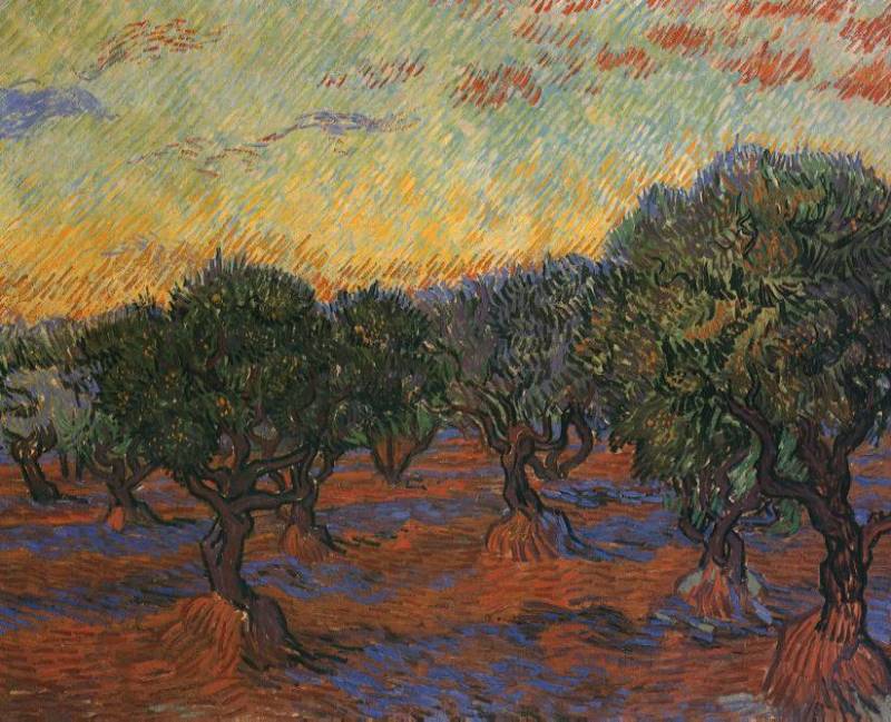 Olive Trees   1889  by Vincent Van Gogh Oil Painting reproduction