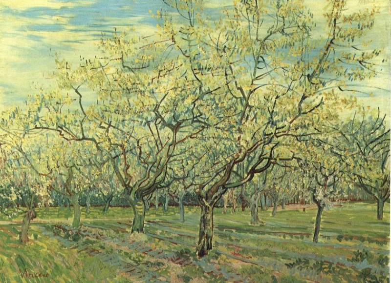 Orchard with Blossoming Plum Trees   1888  by Vincent Van Gogh Oil Painting reproduction