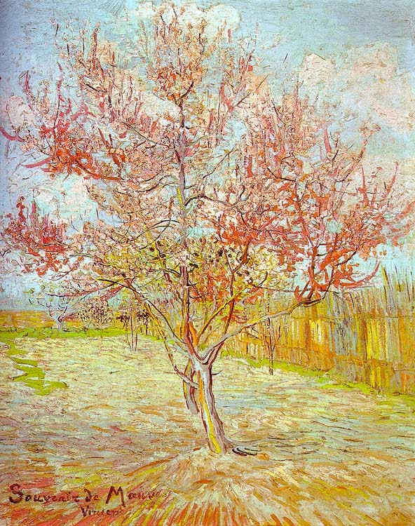 Peach Tree in Bloom, 1888  by Vincent Van Gogh Oil Painting reproduction