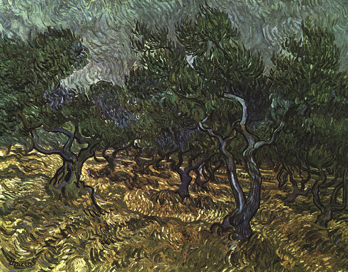 The Olive Grove, 1889  by Vincent Van Gogh Oil Painting reproduction