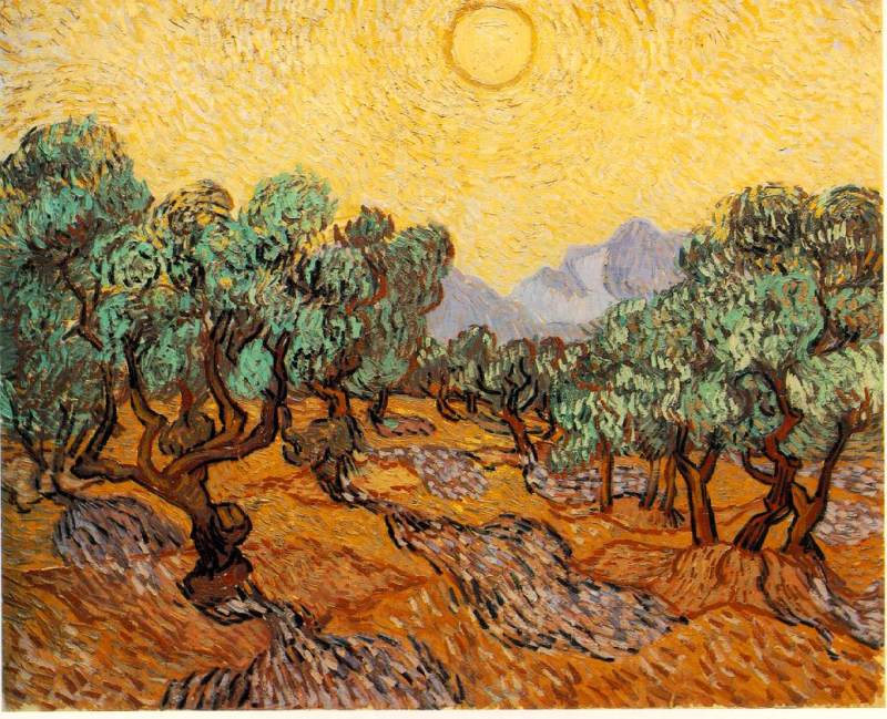 Olive Trees with Yellow Sky and Sun  1889  by Vincent Van Gogh Oil Painting reproduction