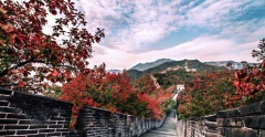 From Beijing: 3-Day UNESCO World Heritage Sites Private Tour