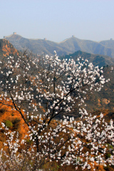 Private Transfer to Jinshanling & the Great Wall