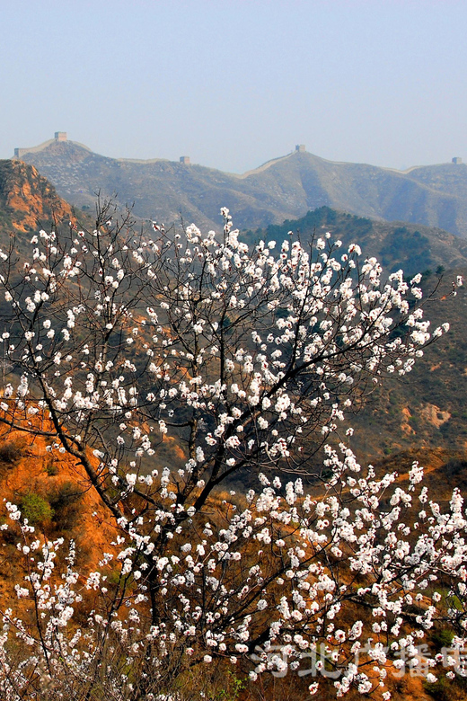 Private Transfer to Jinshanling & the Great Wall