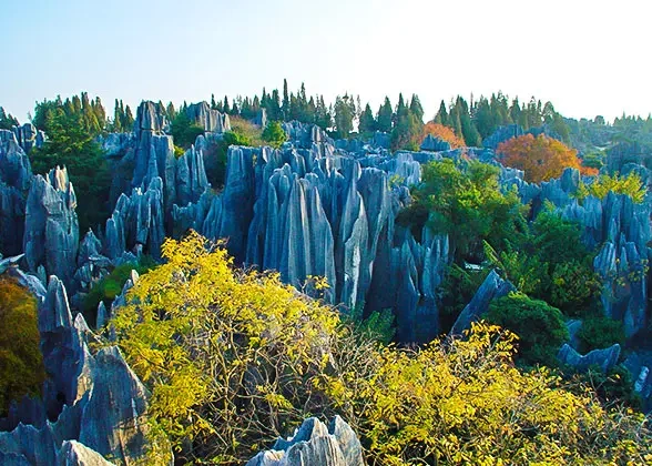 21 Days Private Tour of Beijing - Xi'an - Chengdu - Lijiang - Dali - Kunming - Guilin - Yangshuo - Guilin - Zhangjiajie - Shanghai - Suzhou - Shanghai