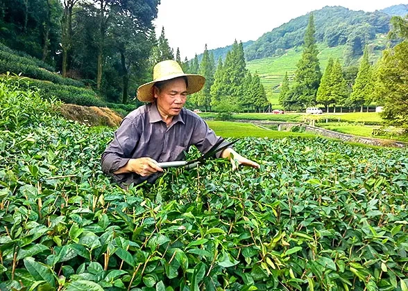 30 Days Private Tour of Beijing-Xi'an-Chengdu-Lhasa-Lijiang-Dali-Chongqing-Yangzte River-Yichang-Hangzhou-Huangshan-Suzhou-Shanghai-Zhangjiajie-Guilin-Yangshuo-Guilin-Hong Kong
