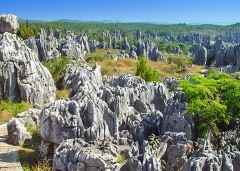 8 Days Private Tour of Kunming - Dali - Lijiang - Shangri-La