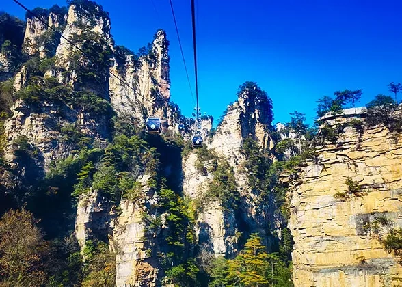 14 Days Private Tour of Beijing - Xi'an - Chengdu - Guilin - Yangshuo - Guilin - Zhangjiajie - Shanghai