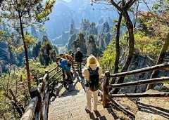 14 Days Private Tour of Beijing - Xi'an - Chengdu - Guilin - Yangshuo - Guilin - Zhangjiajie - Shanghai