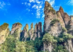 11 Days Private Tour of Beijing - Xi'an - Zhangjiajie - Shanghai