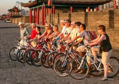 11 Days Small Group Tour of Beijing - Xi'an - Chengdu - Shanghai