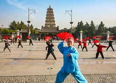 15 Days Small Group Tour of Beijing - Xi'an - Guilin - Chengdu - Chongqing - Yangtze River Cruise - Yichang - Shanghai