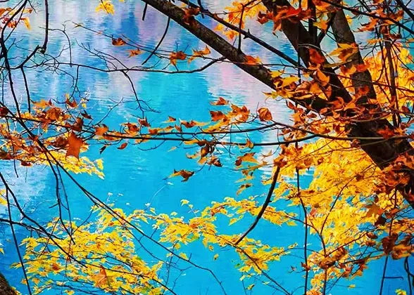 6 Days Private Tour of Chengdu - Leshan - Mt. Emei - Chengdu - Huanglong - Jiuzhaigou