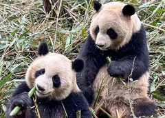 5 Days Private Beijing Tour