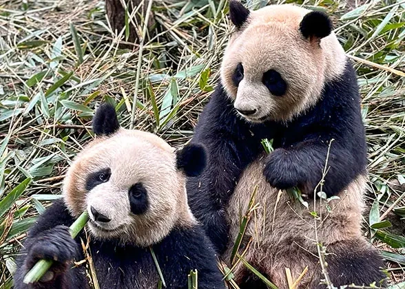 5 Days Private Beijing Tour