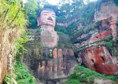 5 Days Private Tour of Chengdu - Leshan Buddha - Mt. Emei