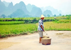 3 Days Best Guilin, Li River Cruise and Yangshuo Private Tour