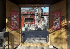 Private Day Tour to Tiananmen Square, Forbidden City&Hutong