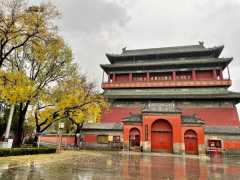 Private Day Tour to Tiananmen Square, Forbidden City&Hutong