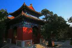 Beijing: Lama Temple, Confucius Temple and Guozijian Museum