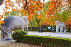 Juyongguan Great Wall, Sacred Way & Ming Tombs Trip