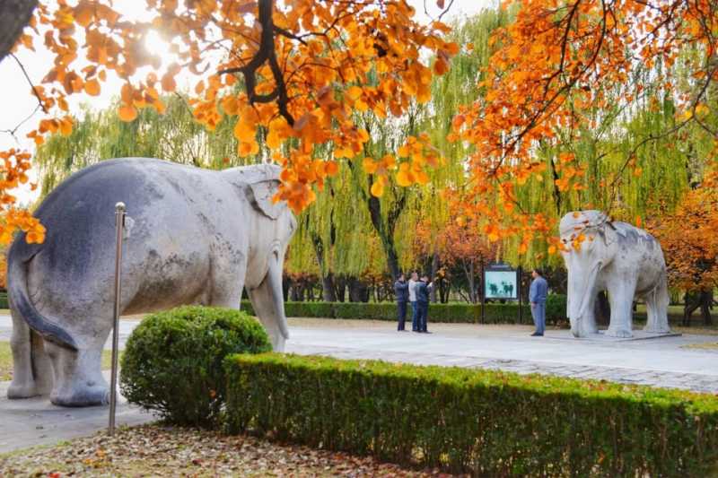 Juyongguan Great Wall, Sacred Way & Ming Tombs Trip