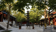 Beijing: Shaolin Temple Day Tour by Round Trip Bullet Train