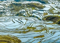 6 Days Private Trip to Kunming - Jianshui - Yuanyang - Kunming