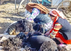 7 Days Private Tour of Urumqi - Turpan - Kumtag Desert - Urumqi - Kashgar