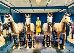 8 Days Small Group Tour of Beijing - Xi'an - Shanghai