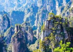 4 Days Zhangjiajie Avatar Mountains Tour