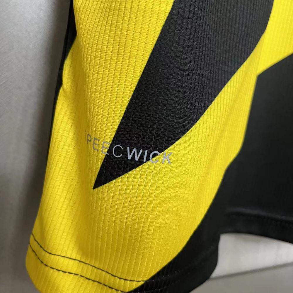 Botafogo 2023/24  Black and Yellow Picture Version Jersey  Fan Version