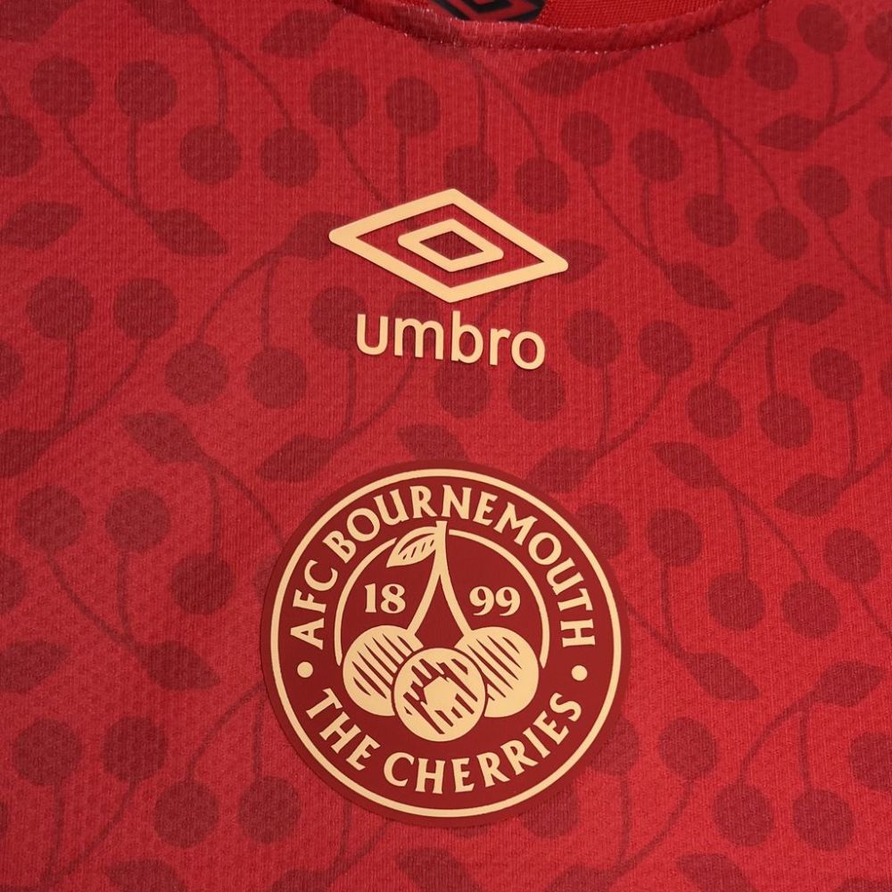 2024/25 Bournemouth Red Special Edition Jersey Fan Version