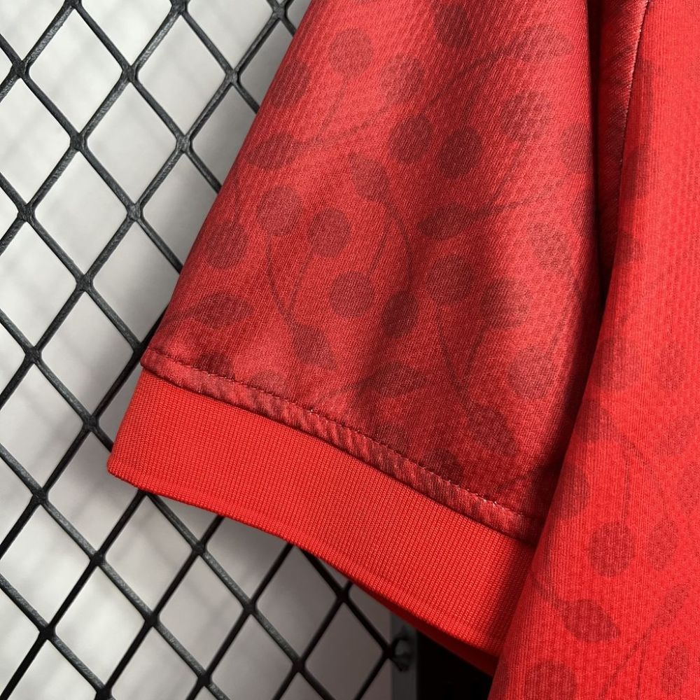 2024/25 Bournemouth Red Special Edition Jersey Fan Version