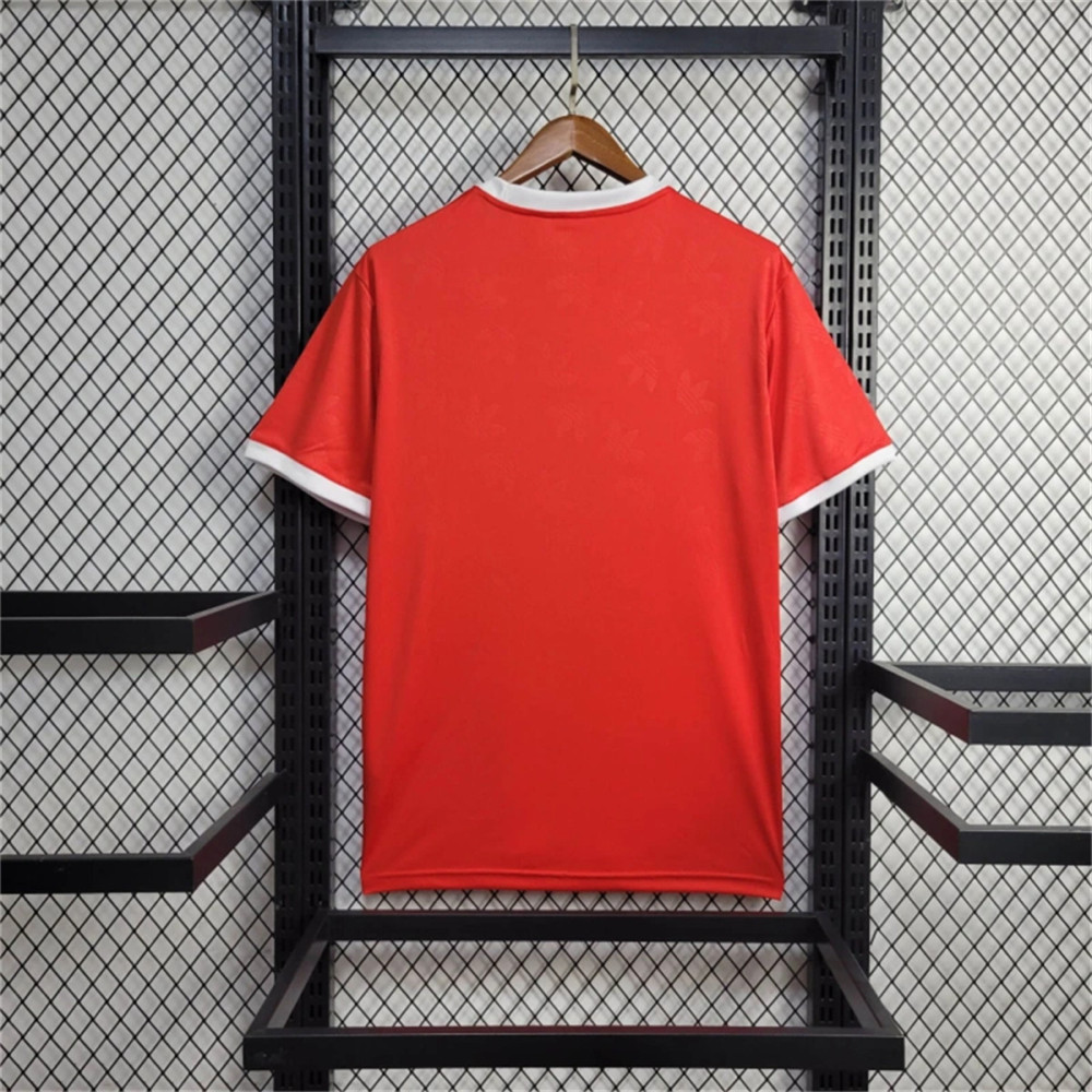 2024/25 Bayern Munich Special edition Jersey Fan Version
