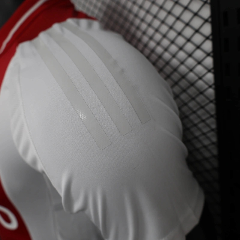 24/25 Ajax Home Jersey Player Version