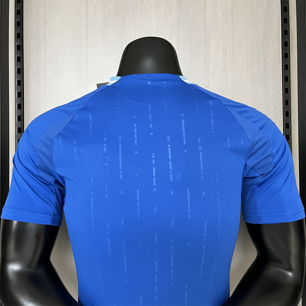 24/25 Argentina Away Jersey Player Version
