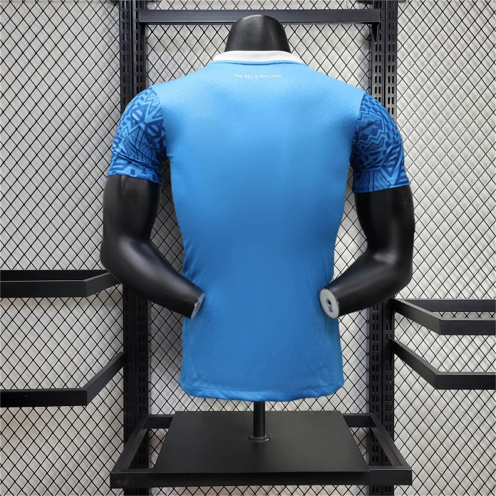 24/25 Mamelodi Sundowns F.C. Away Special edition Jersey Player Version