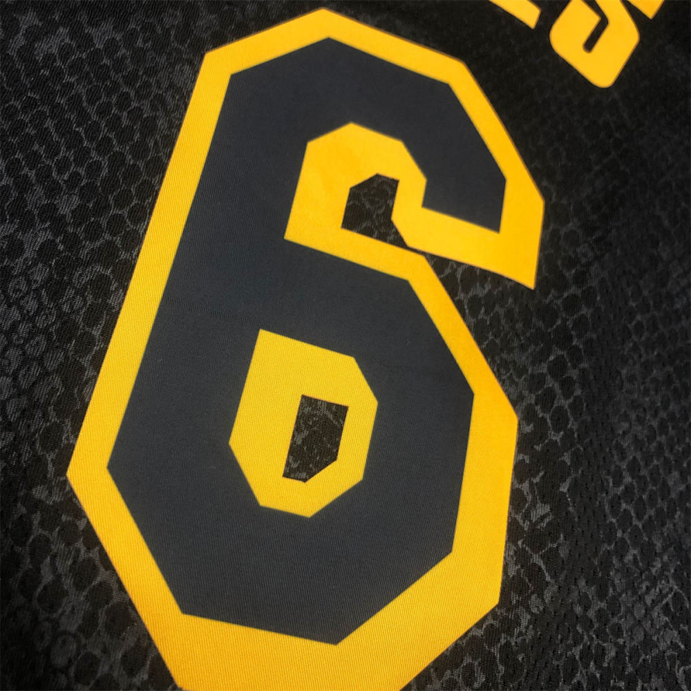 NBA Los Angeles Lakes round neck Black Jersey James#6 S-XXL