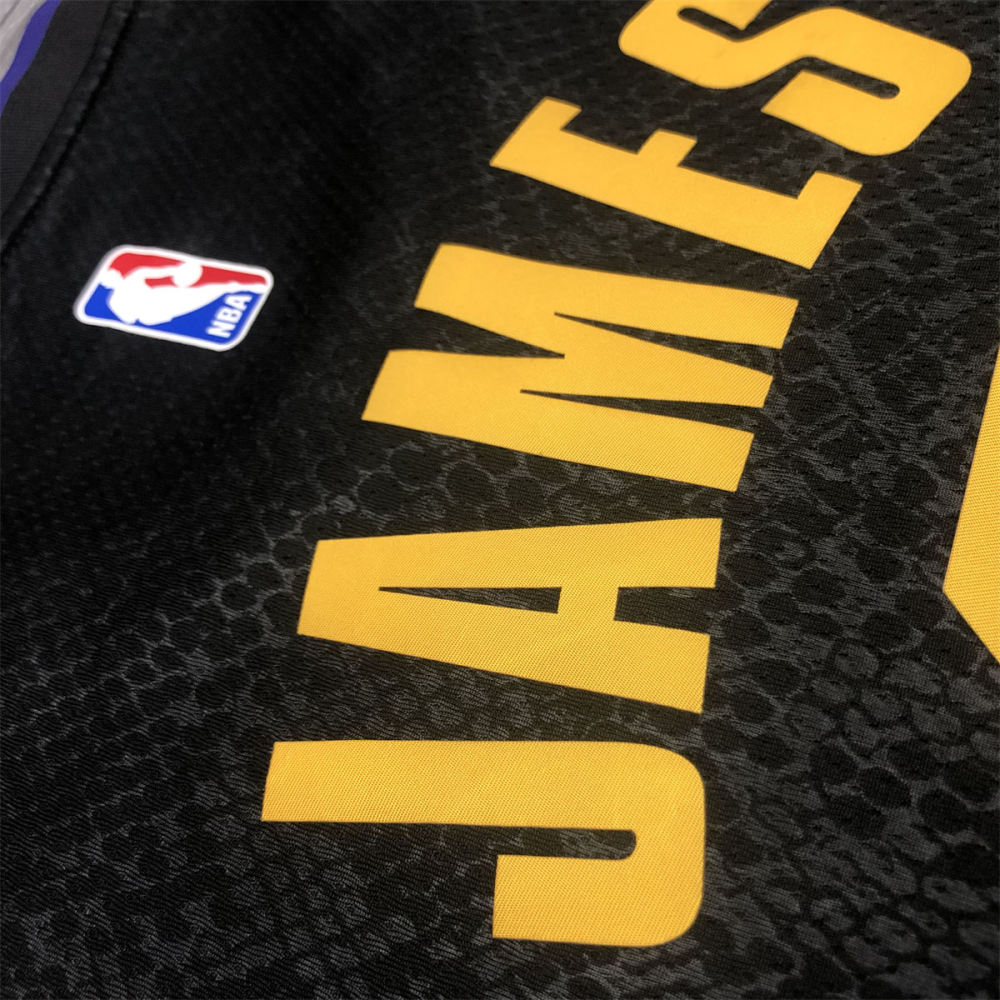 NBA Los Angeles Lakes round neck Black Jersey James#6 S-XXL