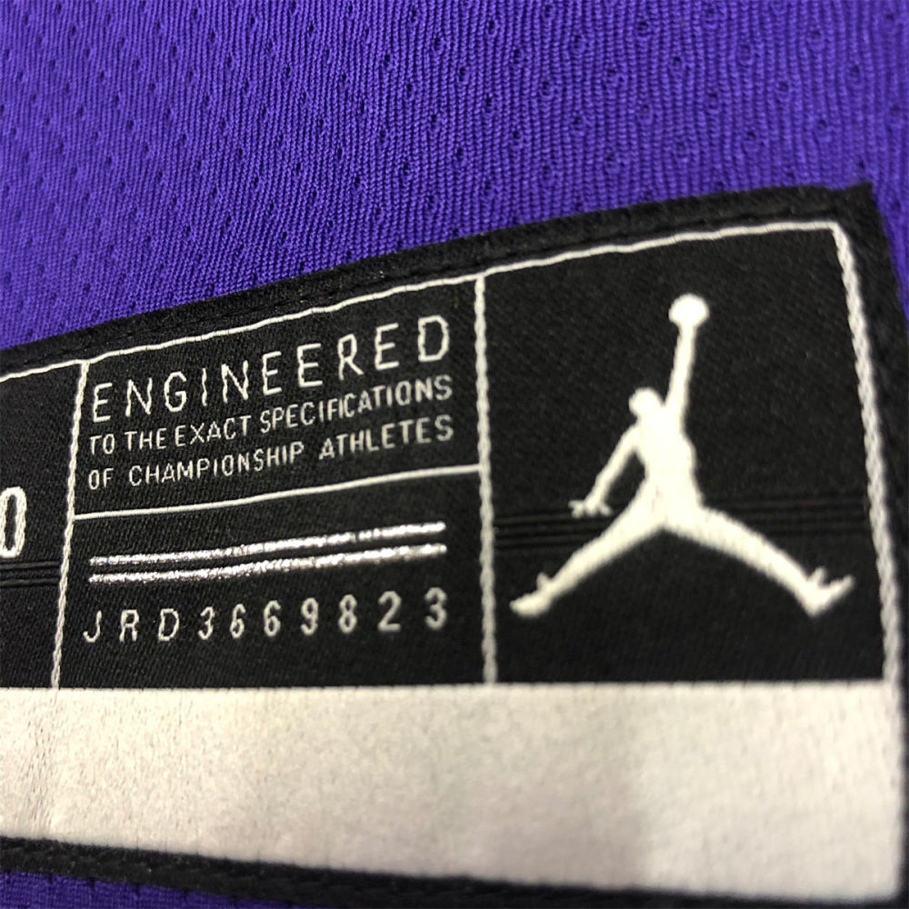NBA Los Angeles Lakes Round neck Purple Jersey JAMES#6 S-XXL